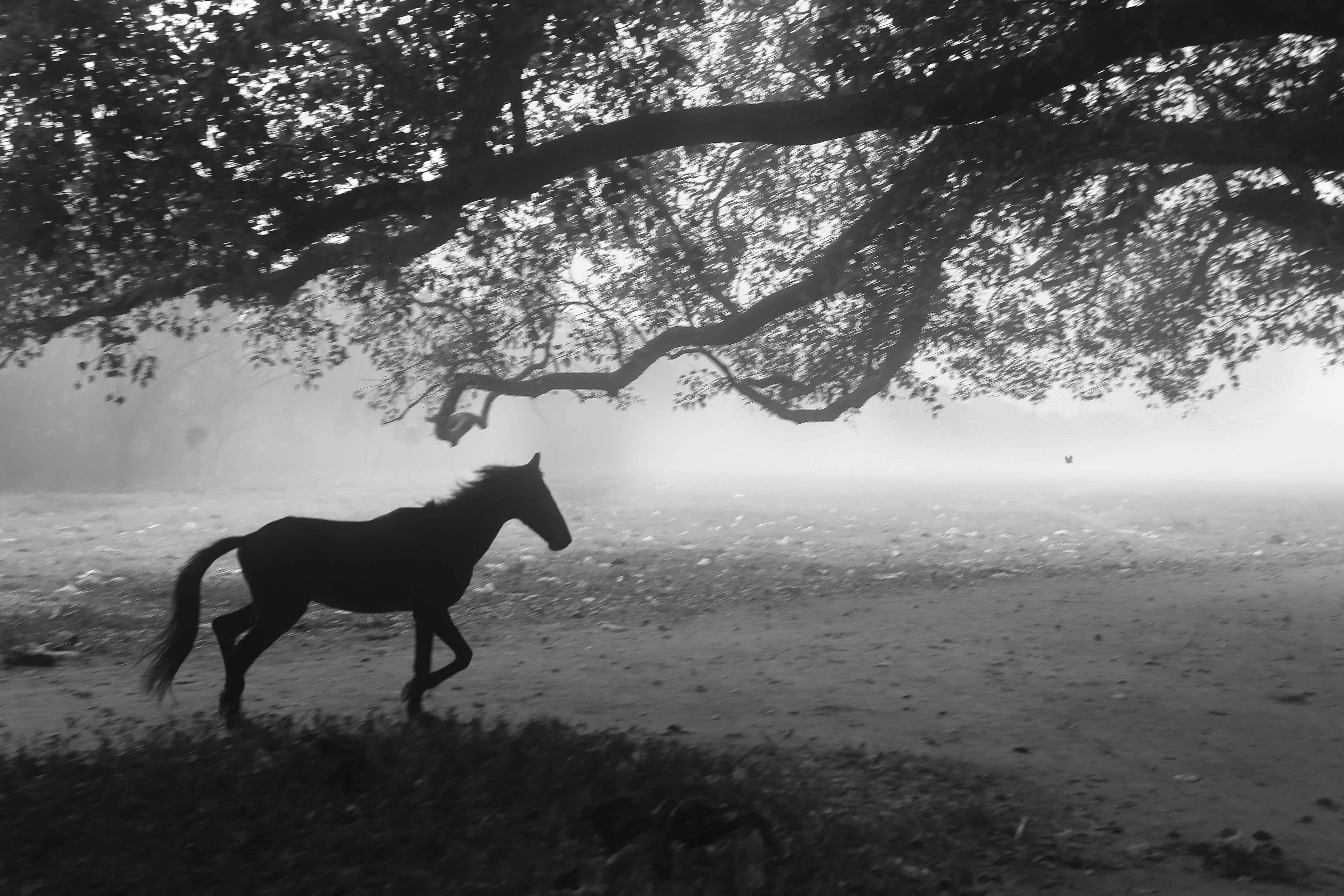 Istiak karim's entry